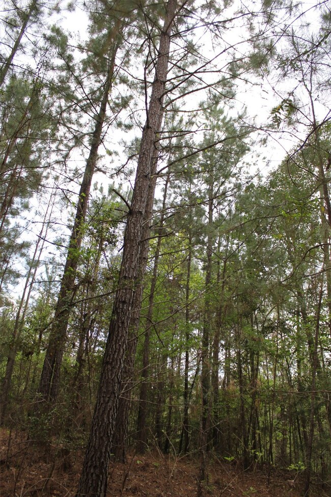 N/A Walton Rd, Nacogdoches, TX 75964 - photo 7