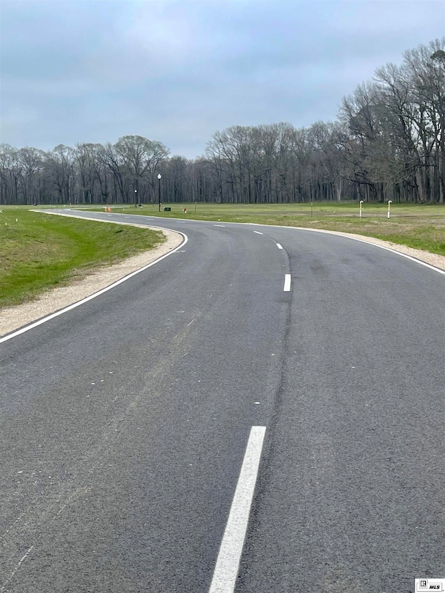 9317 Desiard Trace, Sterlington, LA 71280 - photo 6