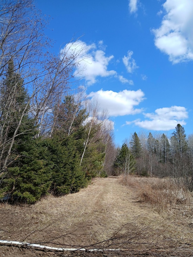 Lot 31 Shady Knoll Rd unit Lot 31, Fifield, WI 54552 - photo 2