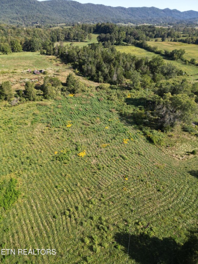 317 Singleton Hollow Rd unit lot 1, Speedwell, TN 37870 - photo 3