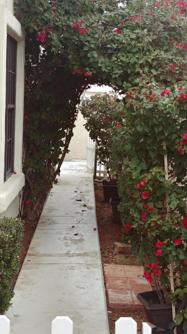 Walk way