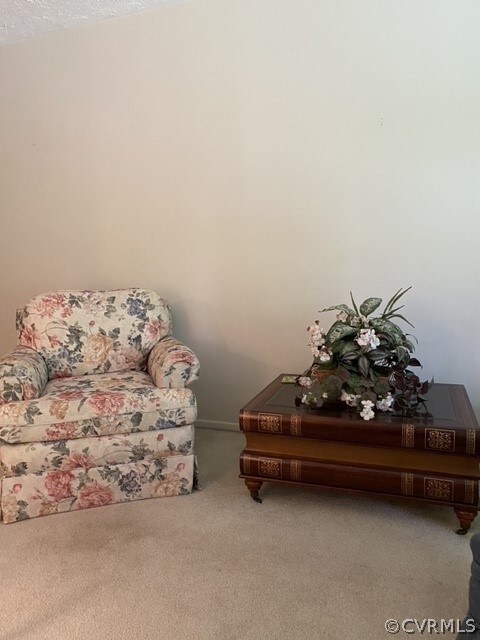 1503 Bronwyn Rd unit 203, Henrico, VA 23238 - photo 4