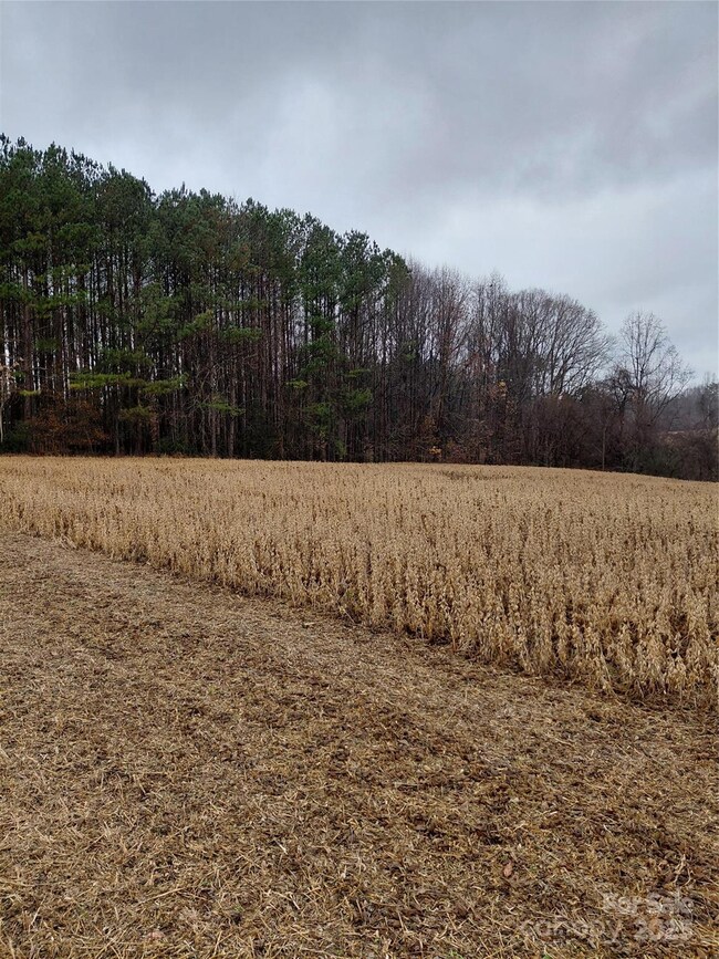 000 Hamlet Rd, Harmony, NC 28634 - photo 6