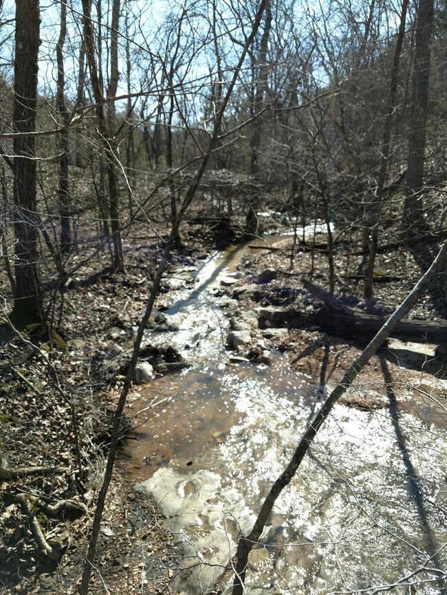Branson West Land (2)