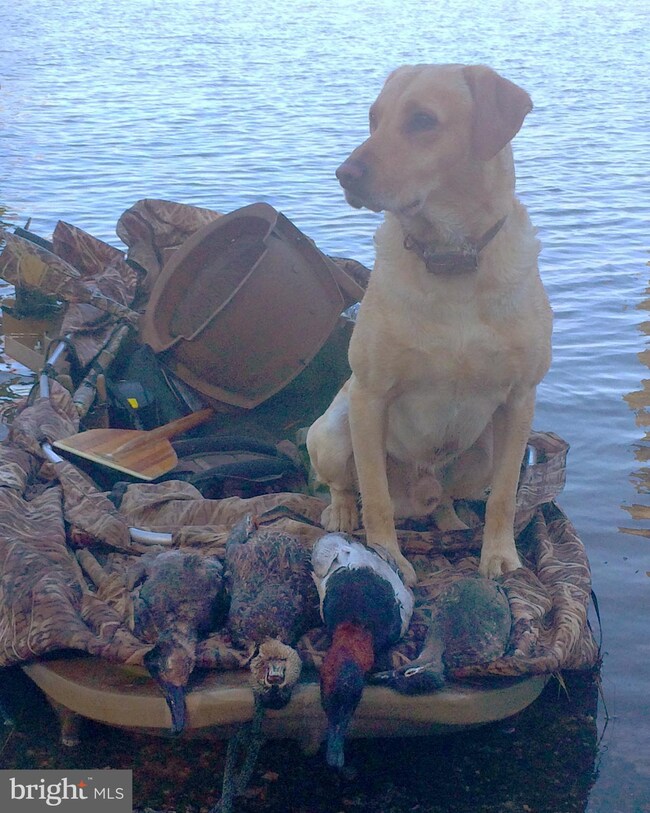 0 Orchard Rd unit 1000977819, Trappe, MD 21673 - photo 6