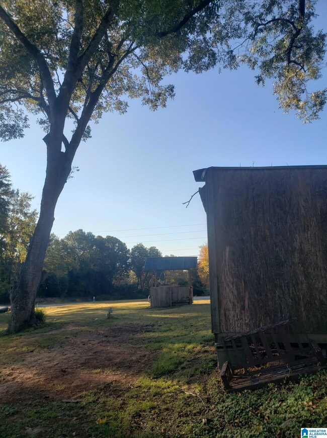 65865 Highway 22, Roanoke, AL 36274 - photo 7