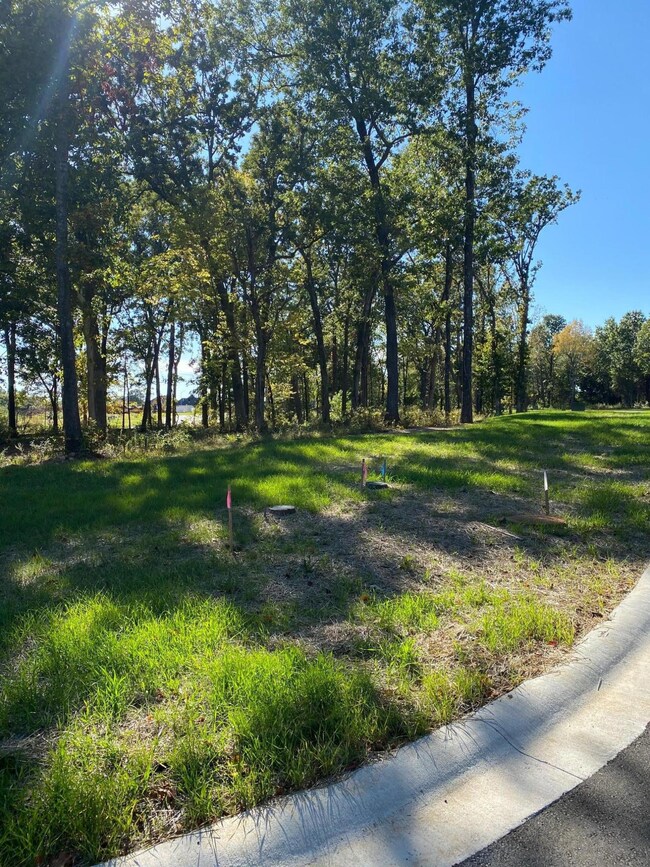 Lot 38 the Estates of Enniskerry, Nixa, MO 65714 - photo 3