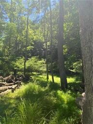 0 Good Rd unit 703606, Lower Mount Bethel Township, PA 18013 - photo 4