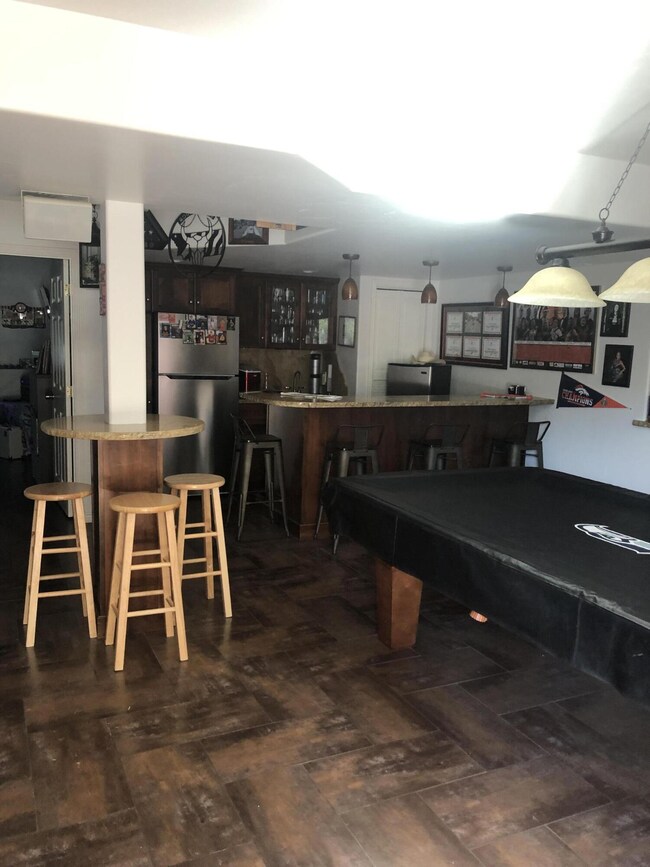 Lower Level Family Room