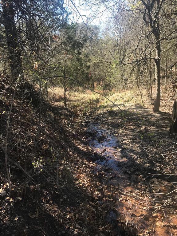 1062 Kingsley Ct, Weatherford, TX 76087 - photo 5