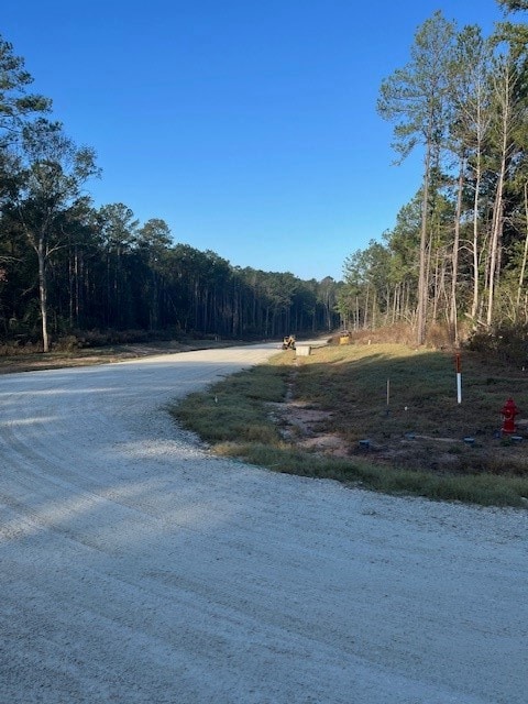 157 Rustic Ranch Dr, New Waverly, TX 77358 - photo 5