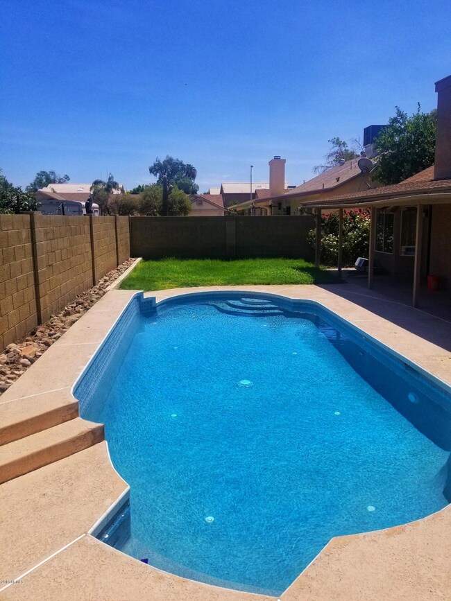 back yard