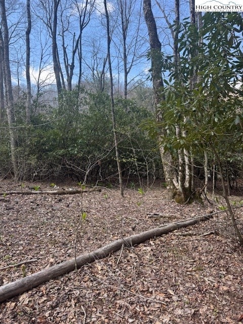 TBD Bald Mountain Rd, West Jefferson, NC 28694 - photo 3