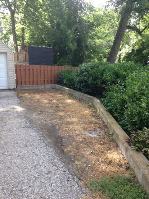 Landscaping Detail