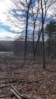 268 Greenville Rd, North Smithfield, RI 02896 - photo 5