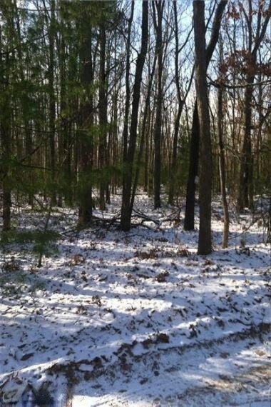 10 Cedar Rd, Lincoln Township, MI 48625 - photo 5