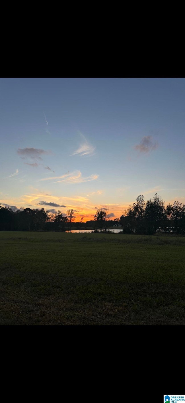 242 Lokey Dr, Wilsonville, AL 35186 - photo 6