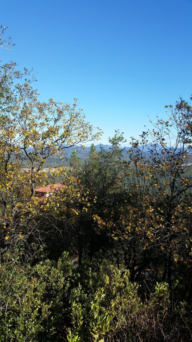 View 1
