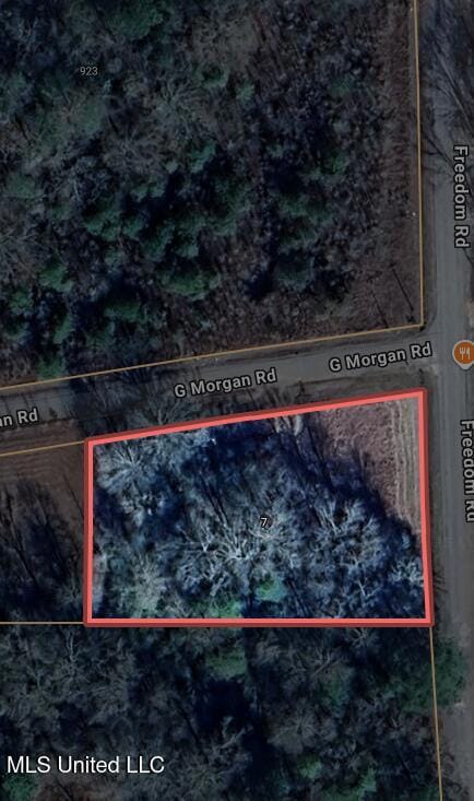 7 G Morgan Rd, Laurel, MS 39443 - photo 2