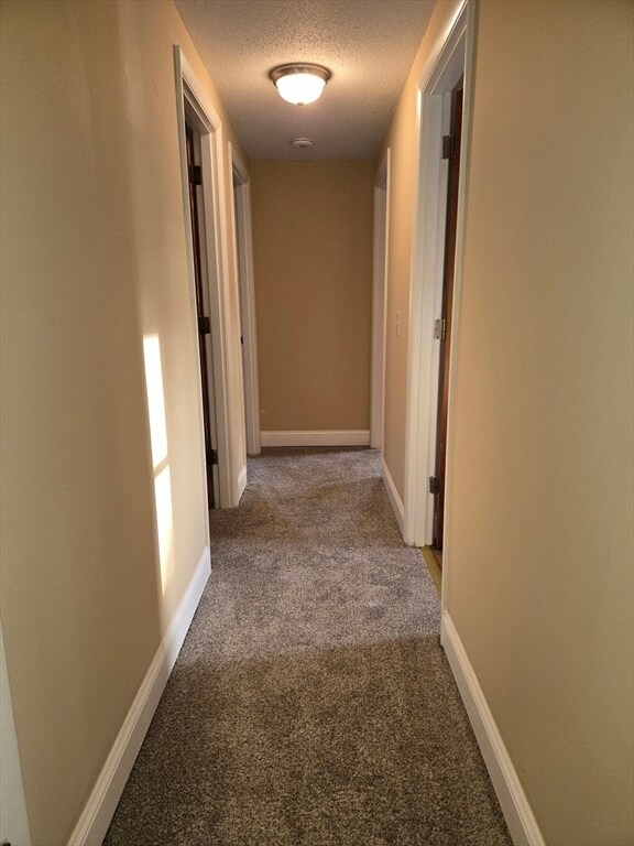 19 Chapman Ave unit 24, West Brookfield, MA 01585 - photo 5