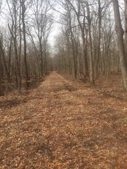 10209 E 775 S, Monterey, IN 46960 - photo 6