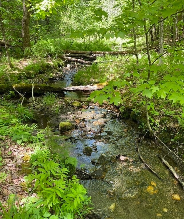 0 Bryant Rd L:16, Cummington, MA 01026 - photo 2