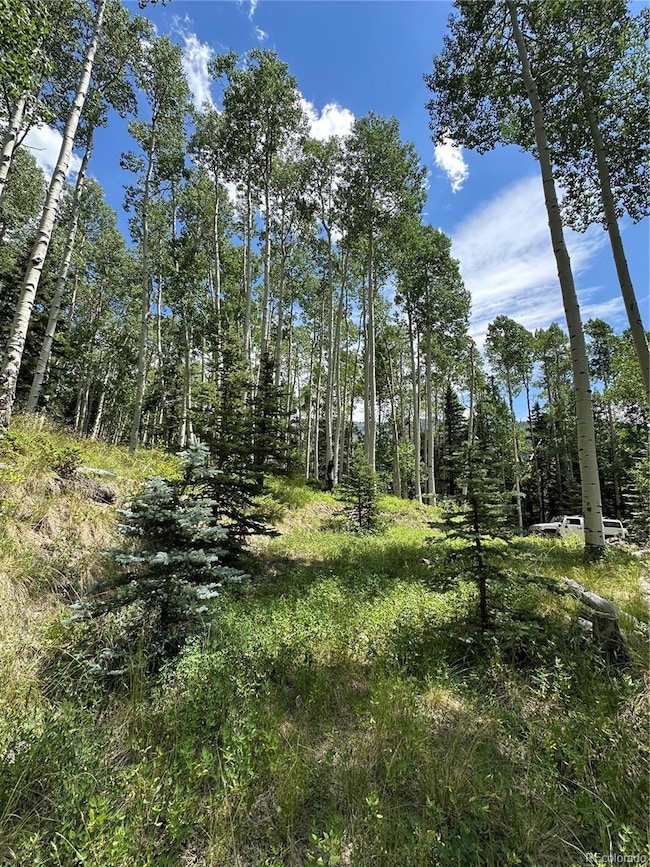 Lots 7-12 Calkins St, Jasper, CO 81132 - photo 3