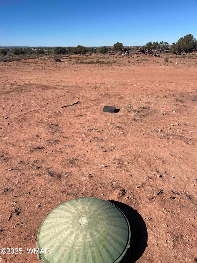 1791 Mountain View Dr, Snowflake, AZ 85937 - photo 6