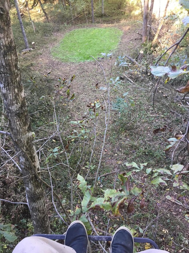 Tract 3 Mudlick Rd, Lawrenceburg, KY 40342 - photo 3