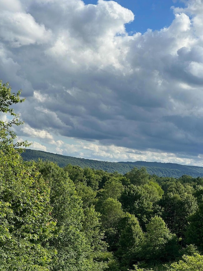 567 Headwaters Rd, Slatyfork, WV 26291 - photo 6