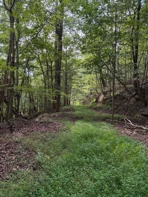 0 S Pittsburg Mountain Rd unit RTC2965466, South Pittsburg, TN 37380 - photo 5