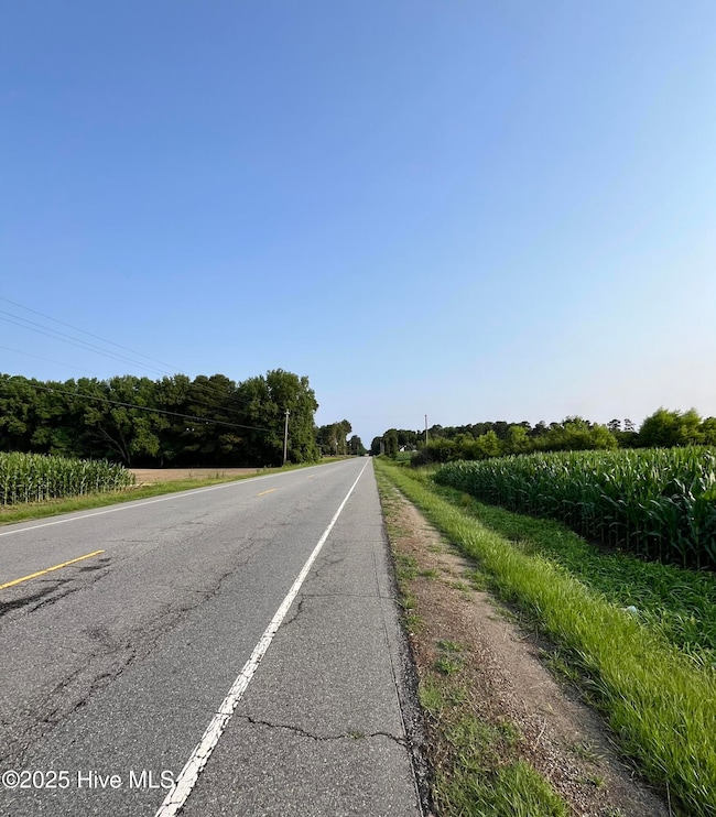 0 Hobbton Hwy unit 100510708, Newton Grove, NC 28366 - photo 4