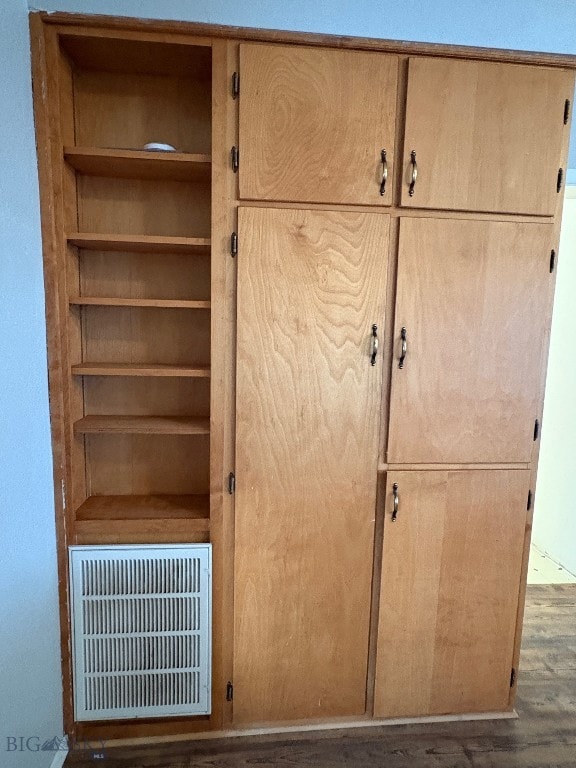 Kitchen with pantry shelves