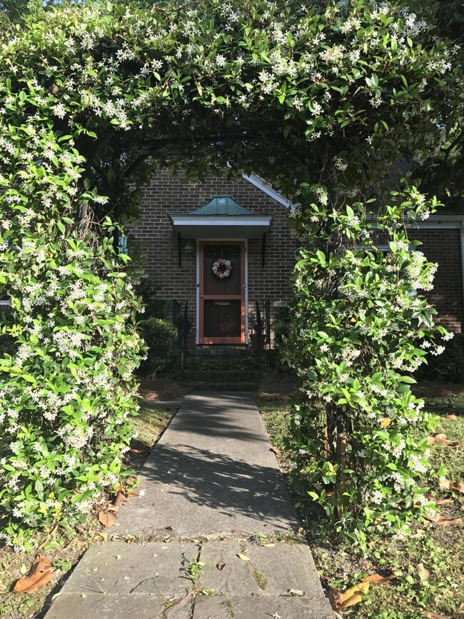 19 Tarleton arbor