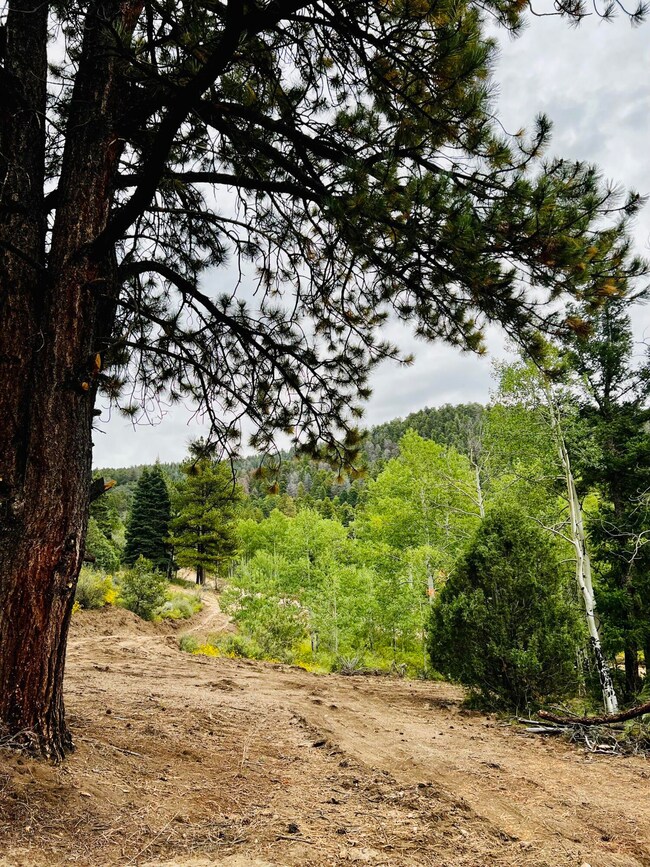 0 Forbes Rd unit 25-1253, Sangre de Cri, CO 81133 - photo 7