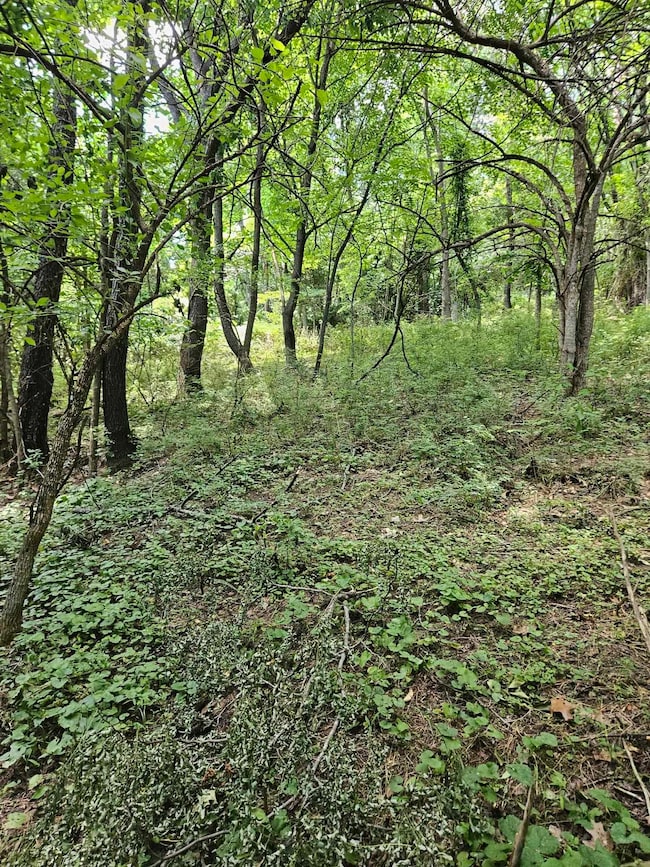 3.39 acres Mossy Creek Rd, Mount Solon, VA 22843 - photo 5