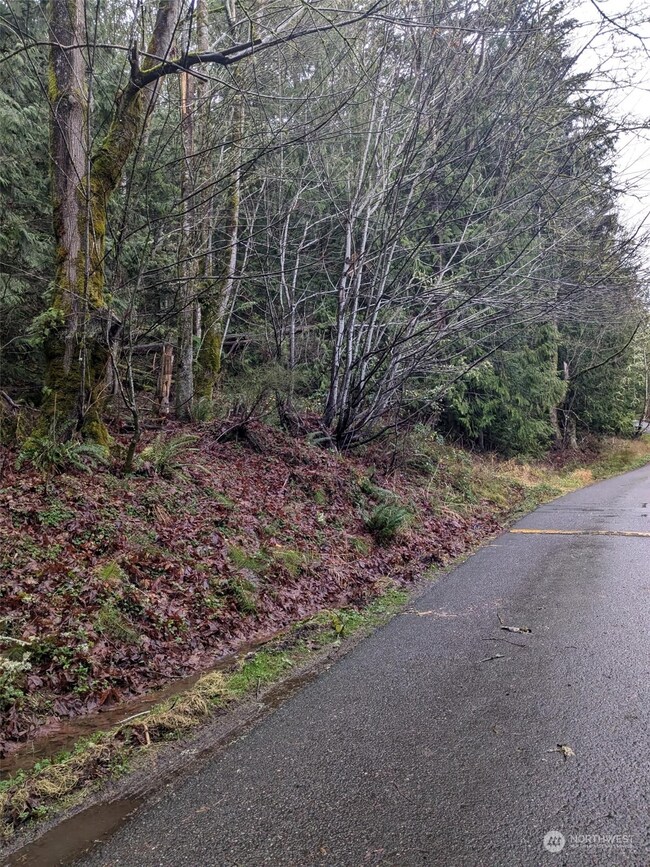 0 West Rd, Sedro Woolley, WA 98284 - photo 7
