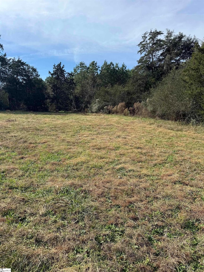 00 High Point Rd, Saluda, SC 29138 - photo 5