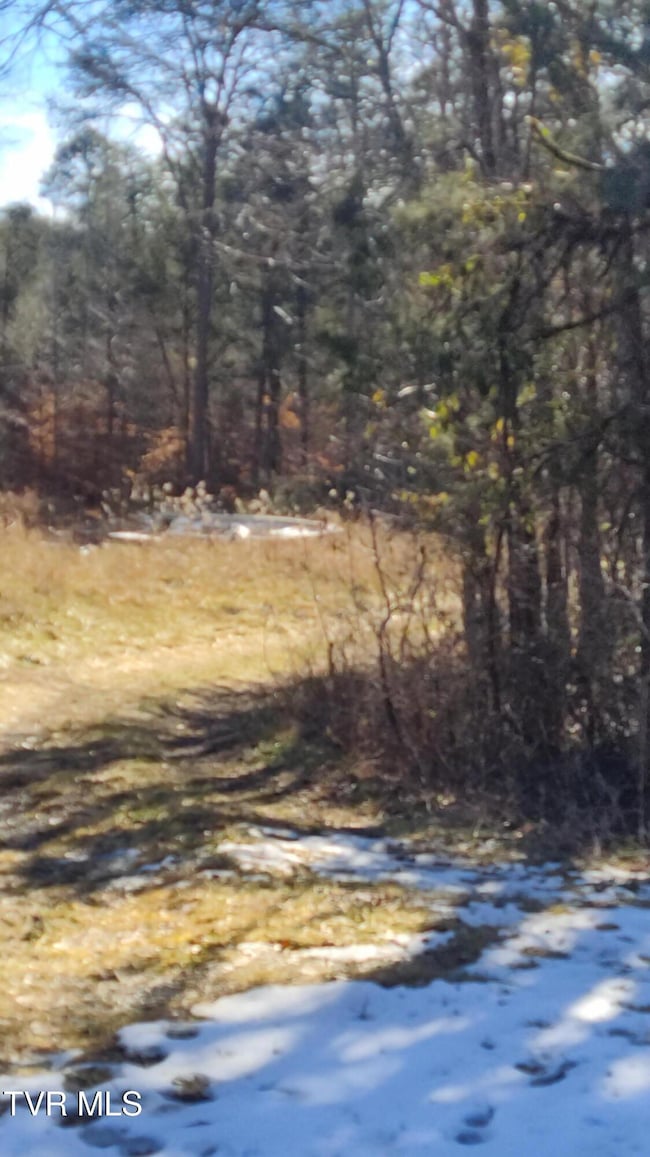 20 Acres Tbd Dunville Gap Rd, Rutledge, TN 37861 - photo 6