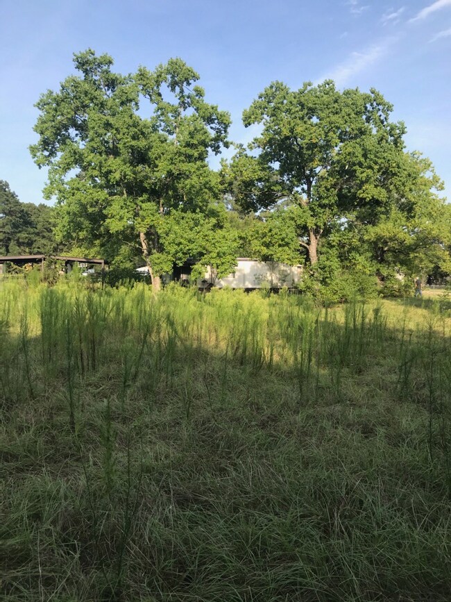 30315 Greenwood St, Magnolia, TX 77355 - photo 2