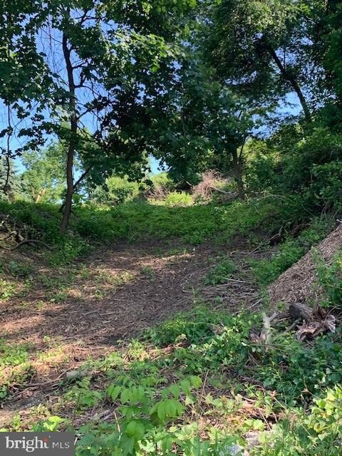 120 Ardmore Ave, Reading, PA 19607 - photo 6