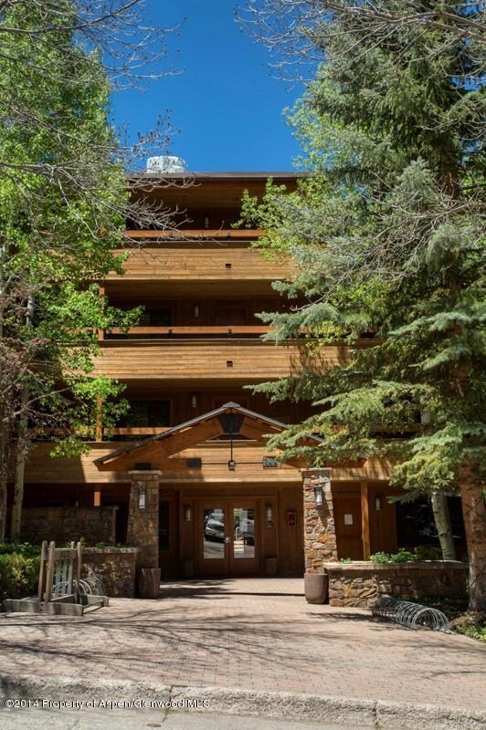 718 S Mill St unit 12, Aspen, CO 81611 - photo 3