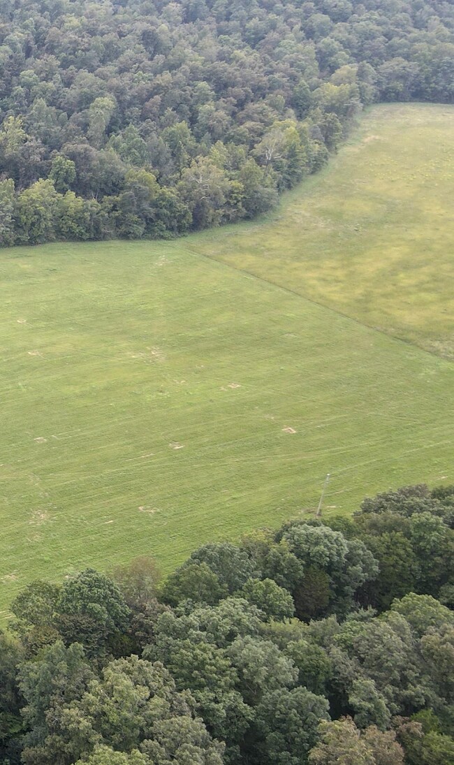 0 Woods Prong Rd, Linden, TN 37096 - photo 5