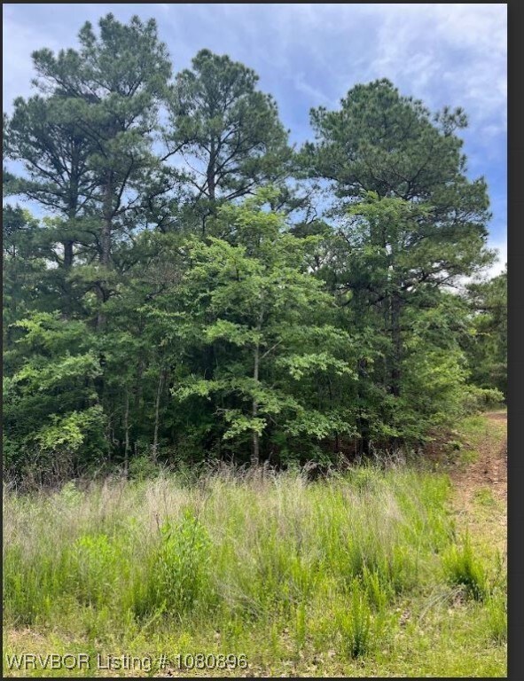 TBD Rural Latimer County, Red Oak, OK 74563 - photo 4