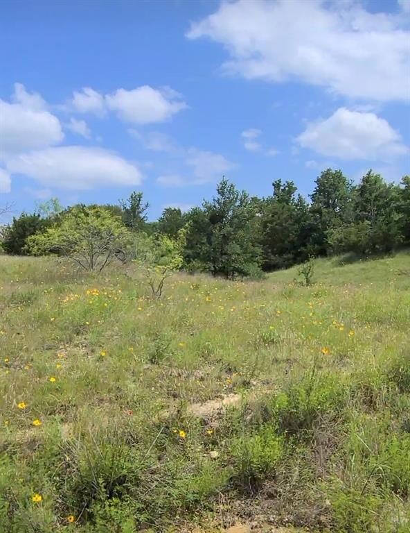 unlisted-address, Weatherford, TX 76087 - photo 2