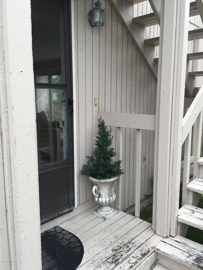Exterior -- fern