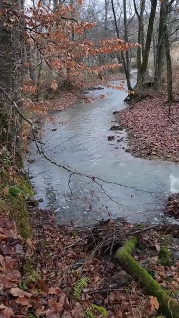 250 Justin Ln, McMinnville, TN 37110 - photo 2