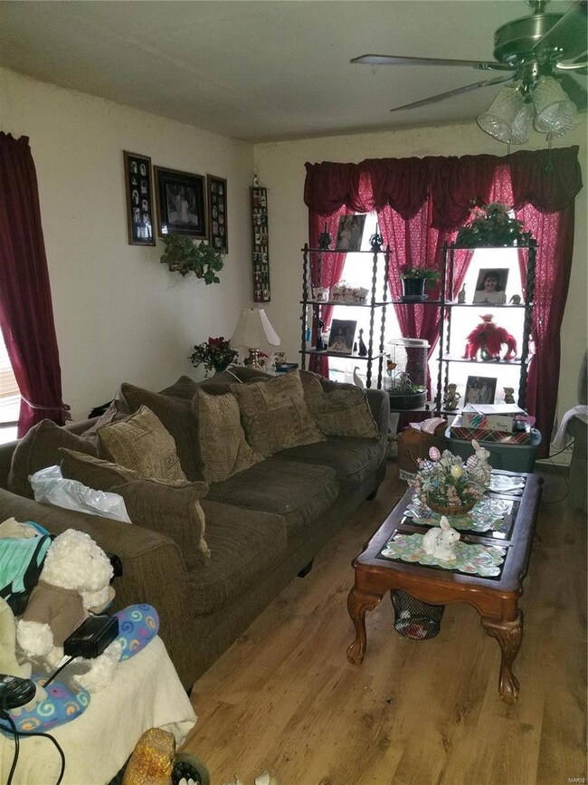 117 O Fallon St, Hannibal, MO 63401 - photo 5