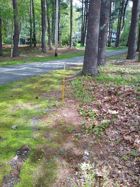 534 Ipswich Rd, Boxford, MA 01921 - photo 2