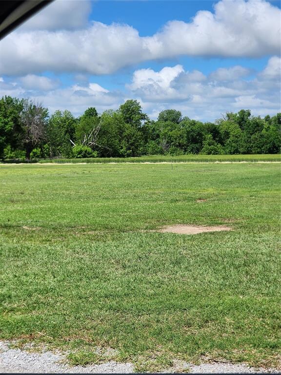 View of green lawn